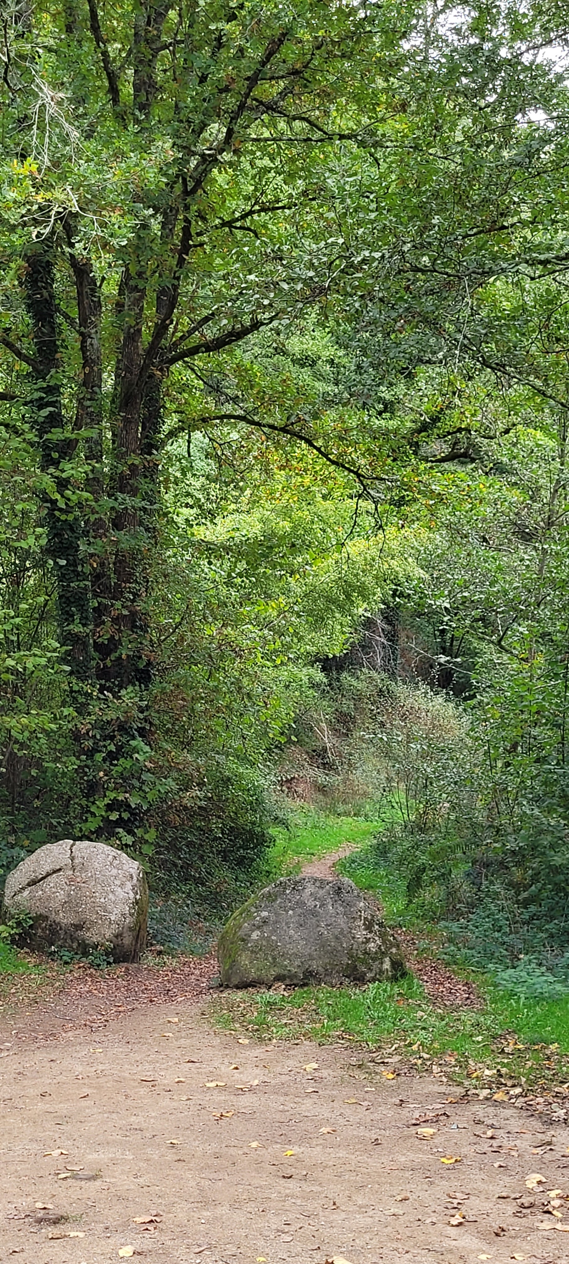 Photo n° 36 de l'avis de Christian.a fait le 30/10/2022 à 11:08