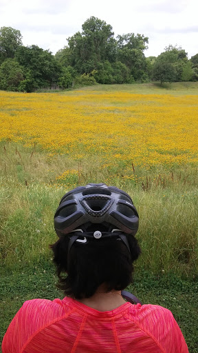 Park «Terry Hershey Park», reviews and photos, 15200 Memorial Dr, Houston, TX 77079, USA