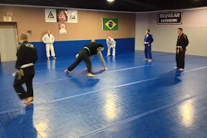 302 Brazilian Jiu-Jitsu image