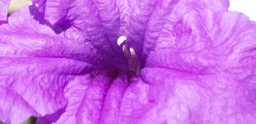 Donut Shop «Happy Bagel & Donuts», reviews and photos, 9926 Lakewood Blvd, Downey, CA 90240, USA