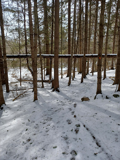 Nature Preserve «Beaver Meadow Audubon Center», reviews and photos, 1610 Welch Rd, Java Center, NY 14082, USA