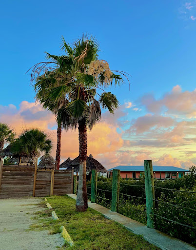 Insurance Agency «Michael Nickas - State Farm Insurance Agent», reviews and photos