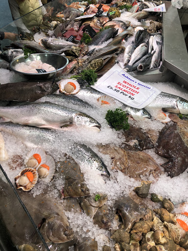 E. Ashton (fishmongers) Ltd