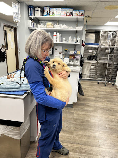 VCA Brighton Animal Hospital image