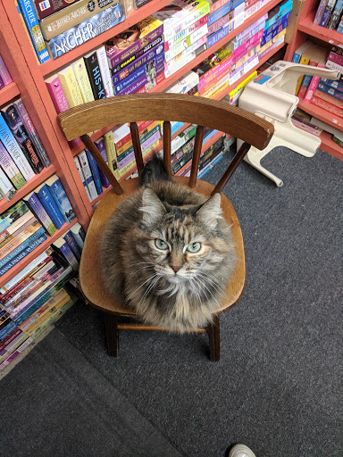 Used Book Store «Bearly Read Books», reviews and photos, 16441 SE Powell Blvd, Portland, OR 97236, USA