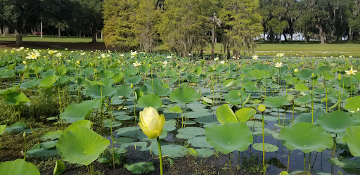 Park «Magnolia Park», reviews and photos, 2929 S Binion Rd, Apopka, FL 32703, USA