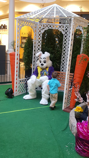 Shopping Mall «North Hanover Mall», reviews and photos, 1155 Carlisle St, Hanover, PA 17331, USA