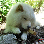 Photo n°1 de l'avis de Richard.a fait le 06/08/2019 à 06:56 sur le  Eremitenklause Bayreuth à Bayreuth