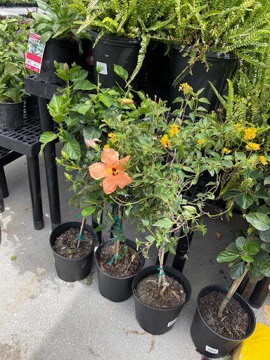 Hardware Store «Westlake Ace Hardware», reviews and photos, 10130 E State Rte 350, Raytown, MO 64138, USA