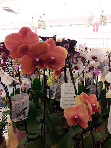 Grocery Store «Stop & Shop», reviews and photos, 930 N Colony Rd, Wallingford, CT 06492, USA