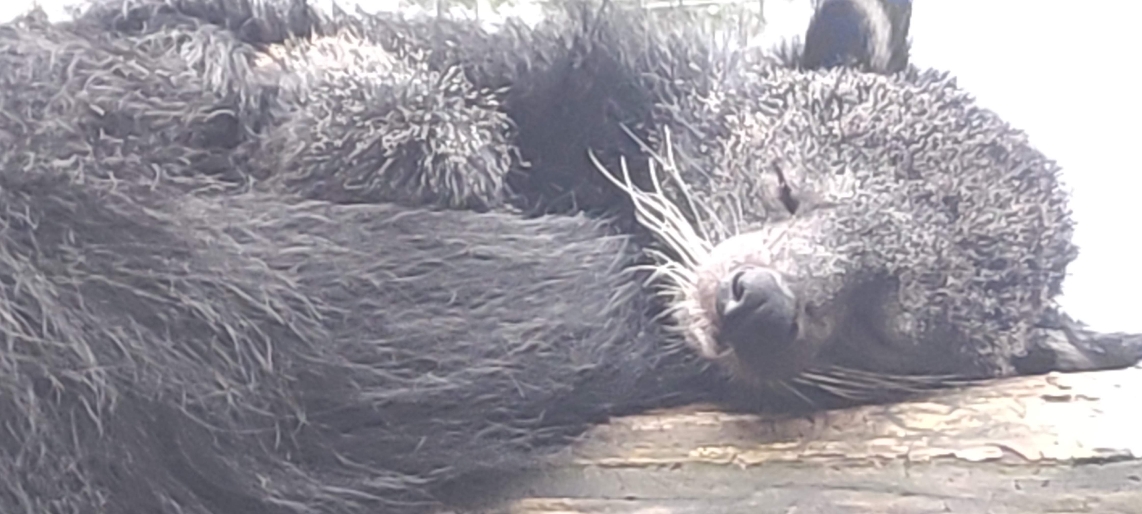 Photo n° 12 de l'avis de Yvette.o fait le 05/09/2023 à 07:55