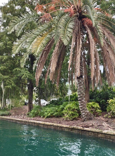 Tourist Attraction «Universal CityWalk», reviews and photos, 6000 Universal Blvd, Orlando, FL 32819, USA