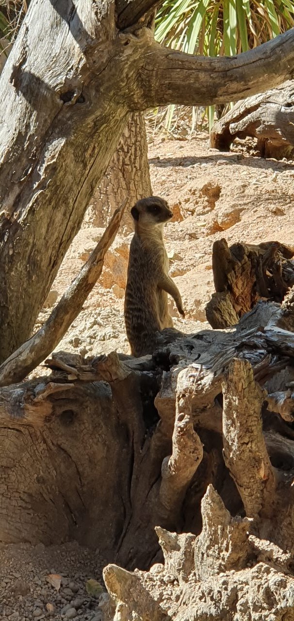 Photo n° 2 de l'avis de Jean.a fait le 18/05/2023 à 12:05