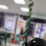 Photo n° 4 de l'avis de Audrey.e fait le 01/12/2023 à 23:24 pour Le Dragon Joueur, boutique et bar à jeux. à Saint-Chamond