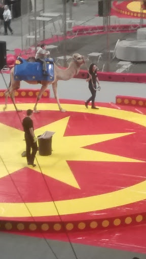 Arena «Floyd L. Maines Veterans Memorial Arena», reviews and photos, 1 Stuart St, Binghamton, NY 13901, USA