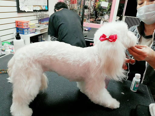 Bubbles Dog Grooming