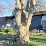 Photo n°4 de l'avis de Patricia.e fait le 11/02/2023 à 09:43 sur le  Prazer da Natureza à Vilar De Mouros