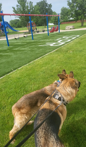 Park «Jim Hansen Park», reviews and photos, 338 Valley Forge Ave, South Elgin, IL 60177, USA