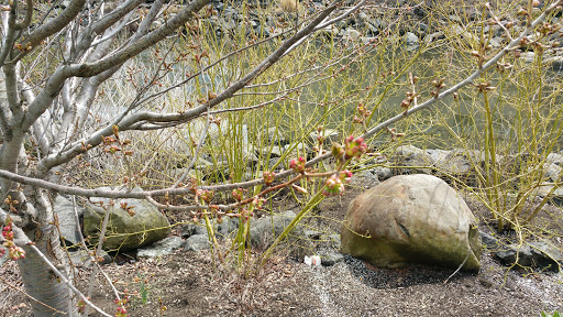 Park «Van Der Donck Park», reviews and photos, 41 Dock St, Yonkers, NY 10701, USA