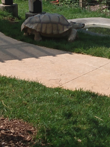 Water Park «Zoombezi Bay», reviews and photos, 10101 Riverside Dr, Powell, OH 43065, USA