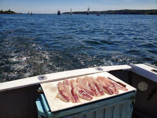 Fishing Charter «Connemara Bay Fishing Charters», reviews and photos, 47 Crafts Rd, Gloucester, MA 01930, USA