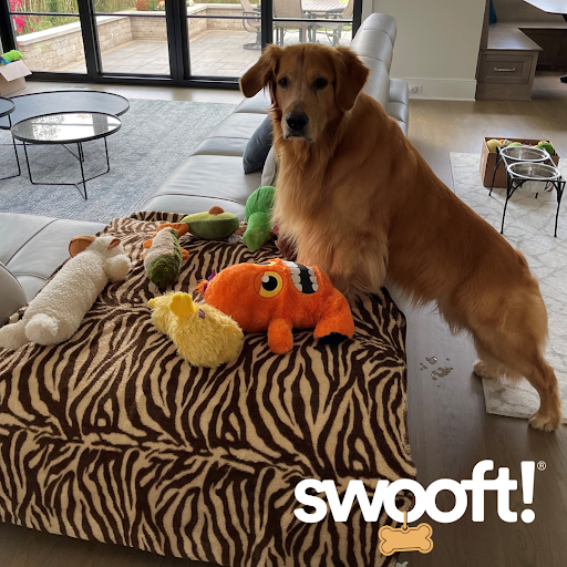 Swooft Dog Walking & Pet Care