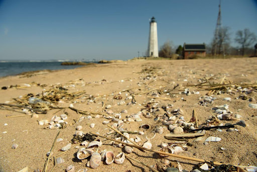 City Park «Lighthouse Point Park», reviews and photos, 2 Lighthouse Rd, New Haven, CT 06512, USA