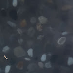 Photo n°3 de l'avis de Roberto. fait le 21/02/2024 à 21:59 sur le  QC Terme Bagni di Bormio Bagni Nuovi à Valdidentro