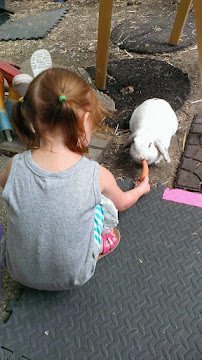 Miss Allyson's Daycare - Photo 7 - Car repair in Vacaville, CA, Fairfield