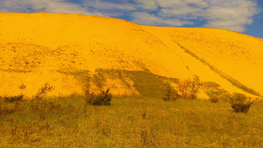 Tourist Attraction «Dune Climb», reviews and photos, 6748 S Dune Hwy, Glen Arbor, MI 49636, USA