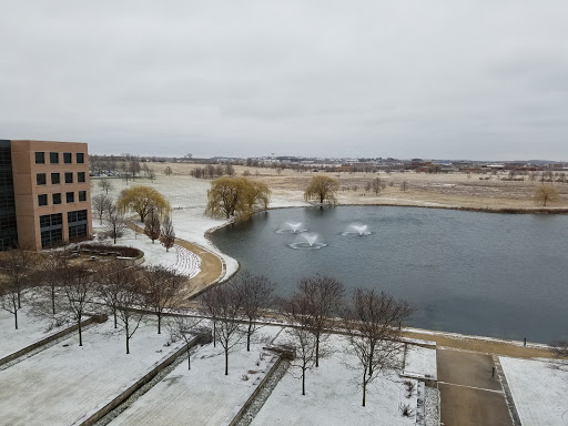 Insurance Agency «American Family Insurance - Shucheng Xu Agency», reviews and photos