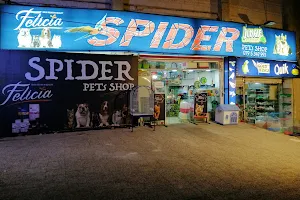 Spider Pets Shop image