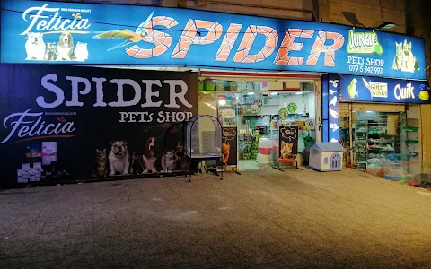Spider Pets Shop image