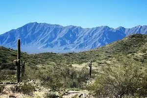 Bursera Trailhead image