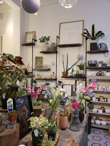 Dried flower shop Ann Arbor