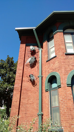 Coffee Store «Old Bisbee Roasters», reviews and photos, 7 Naco Rd, Bisbee, AZ 85603, USA