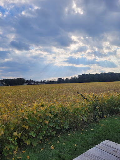 Winery «Salted Vines Vineyard & Winery», reviews and photos, 32512 Rd 374, Frankford, DE 19945, USA