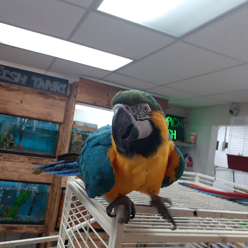 Pet Store «Feed-Rite Pet Supply», reviews and photos, 2979 Fort St, Lincoln Park, MI 48146, USA