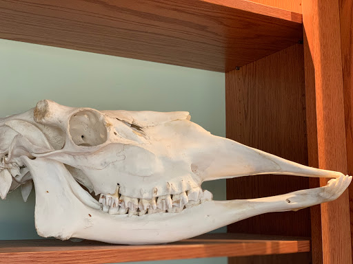 Nature Preserve «Swaner Preserve and EcoCenter», reviews and photos, 1258 Center Dr, Park City, UT 84098, USA