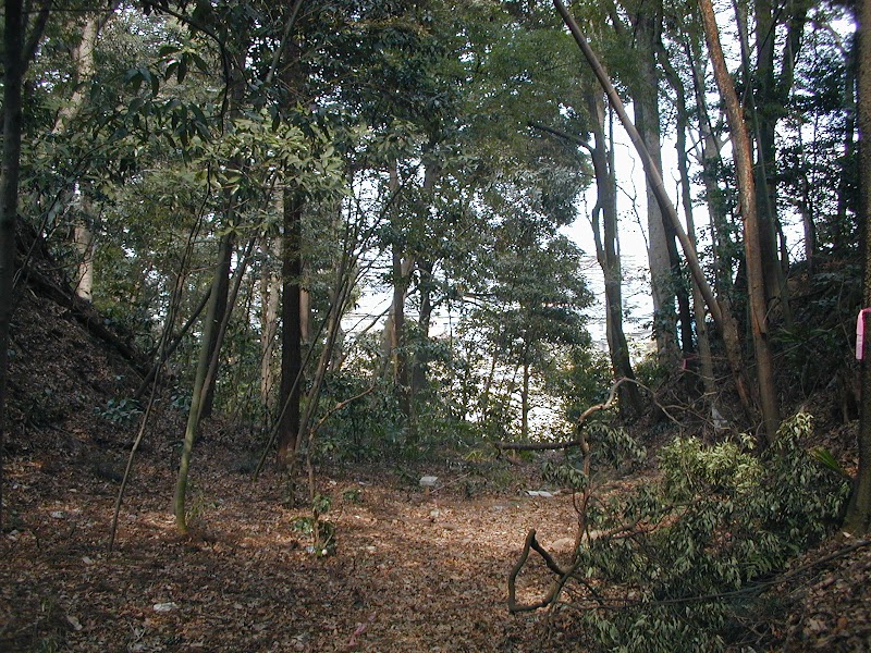 根木内城跡