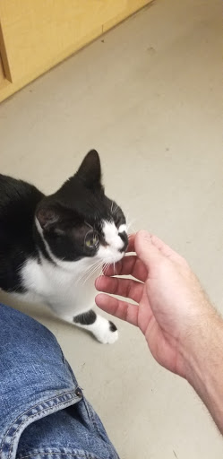 Pet Store «Petsense Enterprise», reviews and photos, 621 Boll Weevil Cir, Enterprise, AL 36330, USA