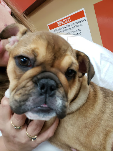 Pet Store «Petland», reviews and photos, 920 Hebron Rd, Heath, OH 43056, USA