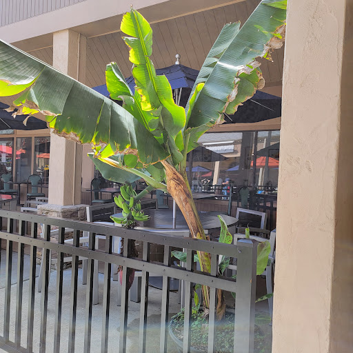 Outlet Store «Tanger Outlet Blowing Rock», reviews and photos, 278 Shoppes on the Parkway Rd, Blowing Rock, NC 28605, USA