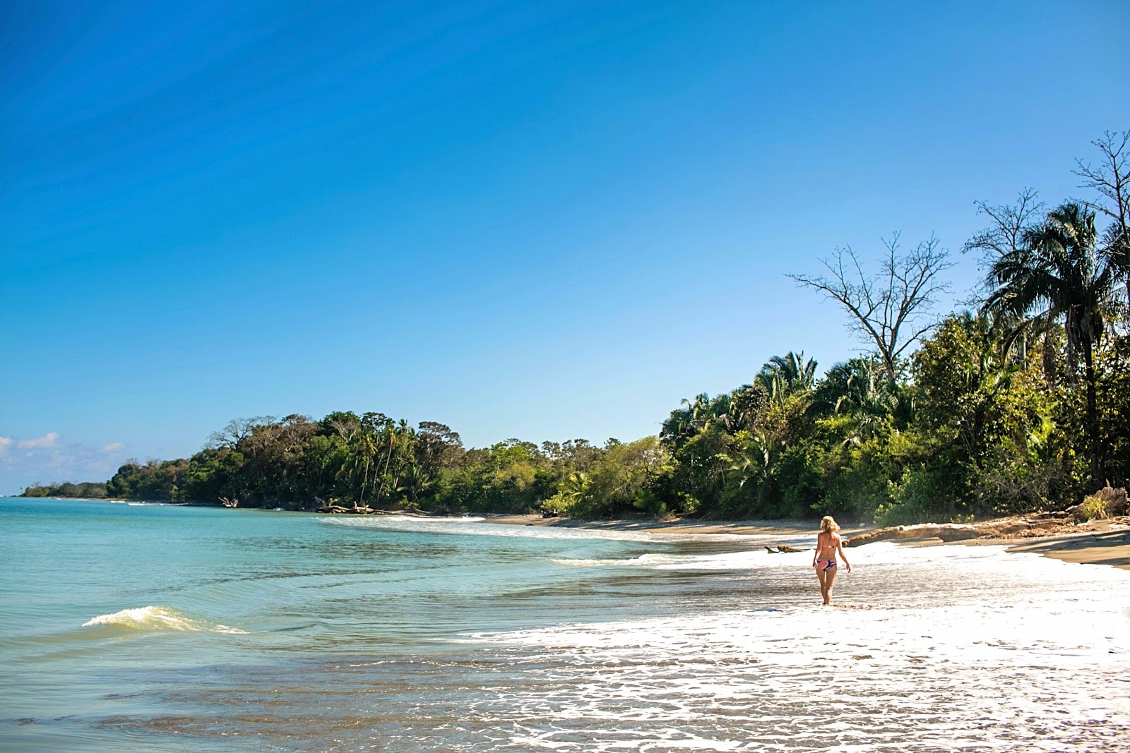 Foto van Playa Tamales wilde omgeving