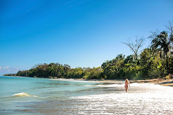 Playa Tamales'in fotoğrafı imkanlar alanı