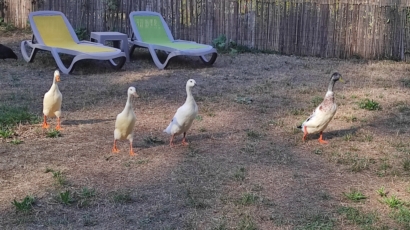 Photo n° 4 de l'avis de Arnaud.e fait le 29/08/2022 à 13:56