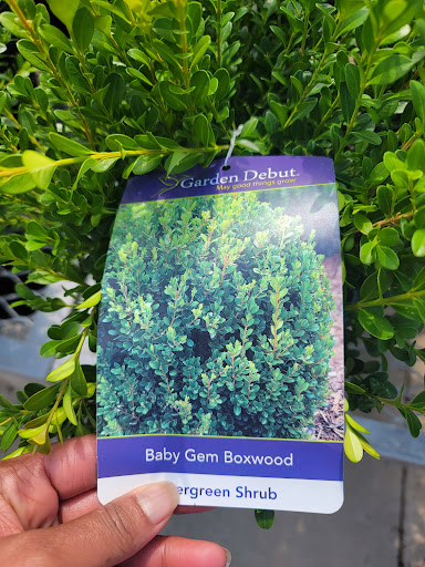 Home Improvement Store «The Home Depot», reviews and photos, 1306 E North Ave, Belton, MO 64012, USA