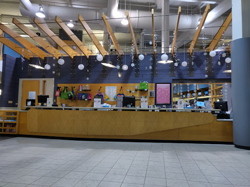 Gym «Buffalo Grove Fitness Center», reviews and photos, 601 Deerfield Pkwy, Buffalo Grove, IL 60089, USA