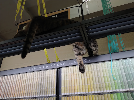 Hardware Store «Ace Hardware/Lumber of Pilot Point», reviews and photos, 316 US-377, Pilot Point, TX 76258, USA