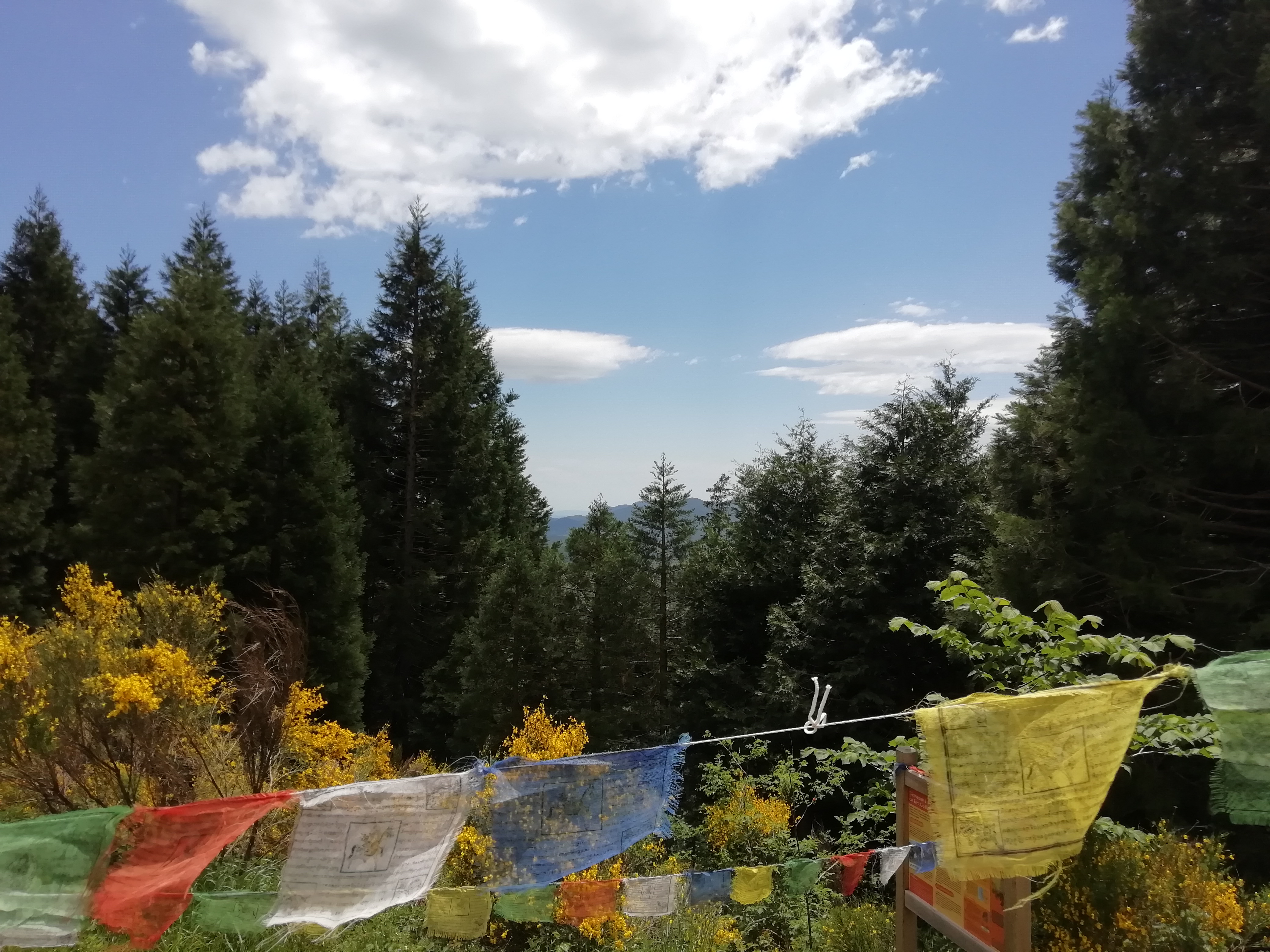 Photo n° 5 de l'avis de Tiphaine.a fait le 06/08/2022 à 15:43